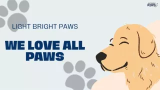 Explore Pet-Friendly Stores with Light Bright Paws