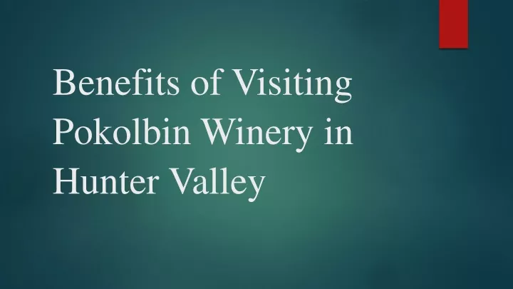 benefits of visiting pokolbin winery in hunter