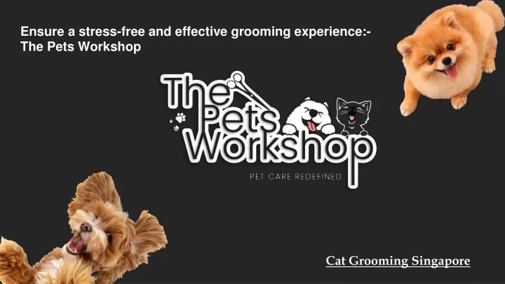 ensure a stress free and effective grooming experience the pets workshop