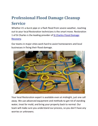 professional flood damage cleanup service whether