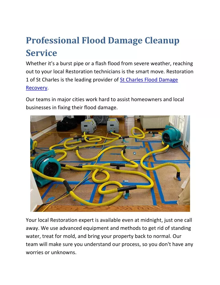 professional flood damage cleanup service whether