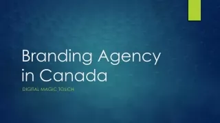 Canadian Brilliance: Unleash Your Brand's Potential with Our Agency