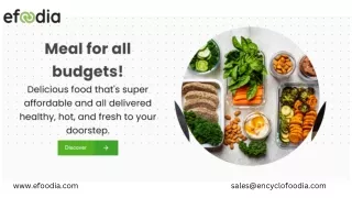 What is The Best Food Subscription Service Platform in UAE