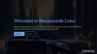 Welcome-to-Beaumonde-Limoshine