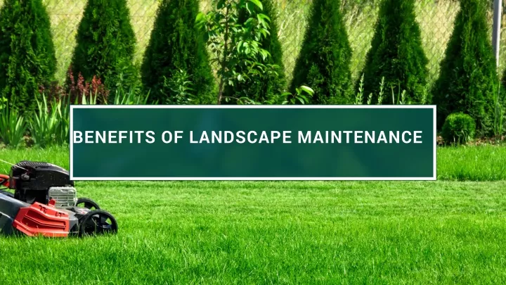 benefits of landscape maintenance