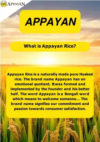 Discover the Art of Rice: Appayan's Premium Husking Rice Collection