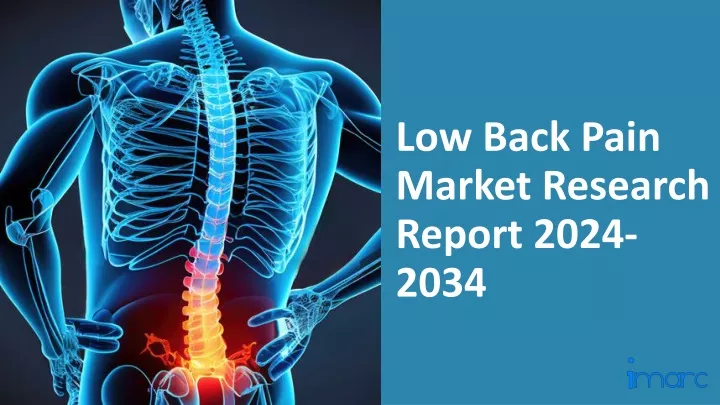 low back pain market research report 2024 2034