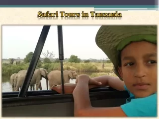 Safari Tours in Tanzania