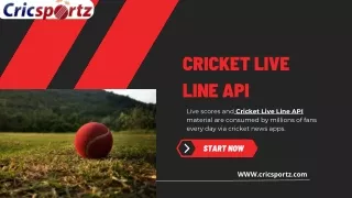 Cricket Live Line API: Empower Your Platform with Live Cricket Score