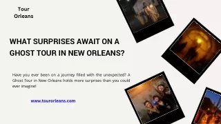 Pontoon Swamp Tour - Tour Orleans