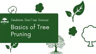 Basics of Tree Pruning