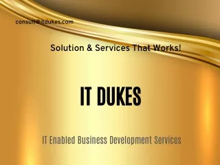 consult@itdukes com