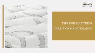 Buy High-Quality Bed Mattress | Snoozer Mattress