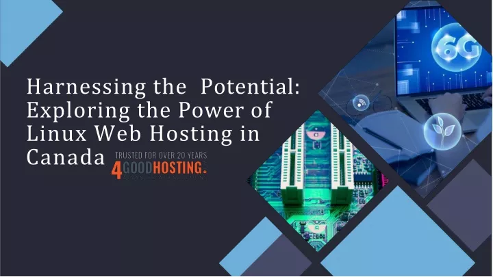 harnessing the potential exploring the power of linux web hosting in canada