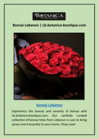 Bonsai Lebanon | Lb.botanica-boutique.com