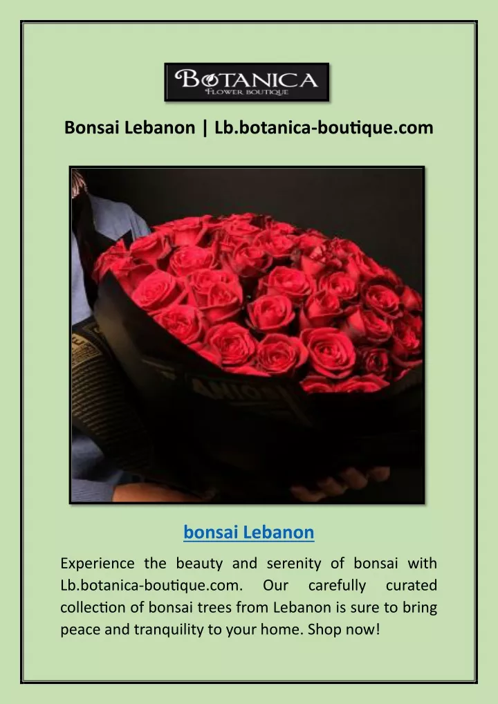 bonsai lebanon lb botanica boutique com