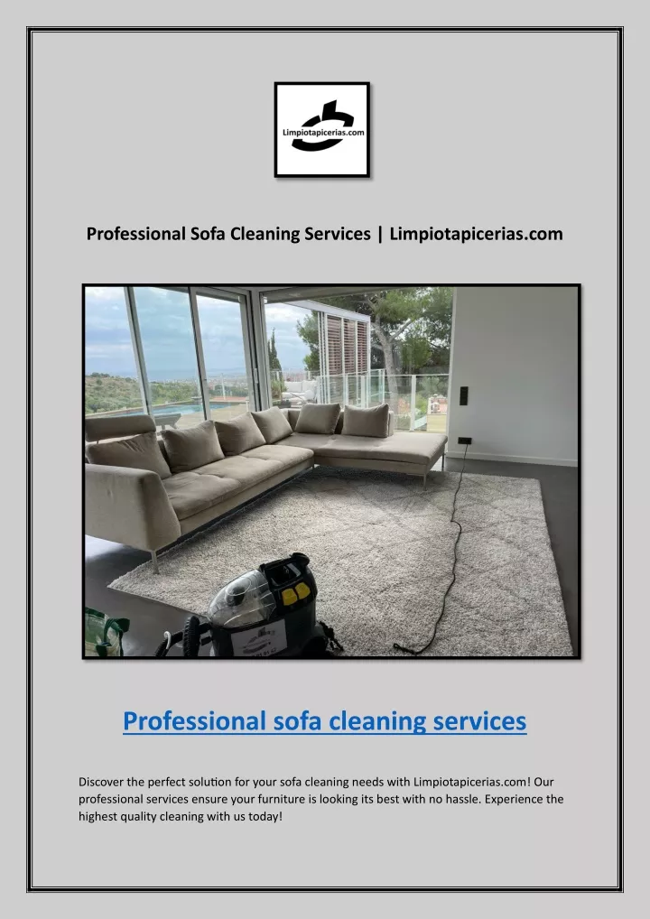 professional sofa cleaning services