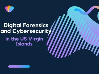 Digital Vigilance: MEPS Leading the Charge in US Virgin Islands' Cybersecurity L