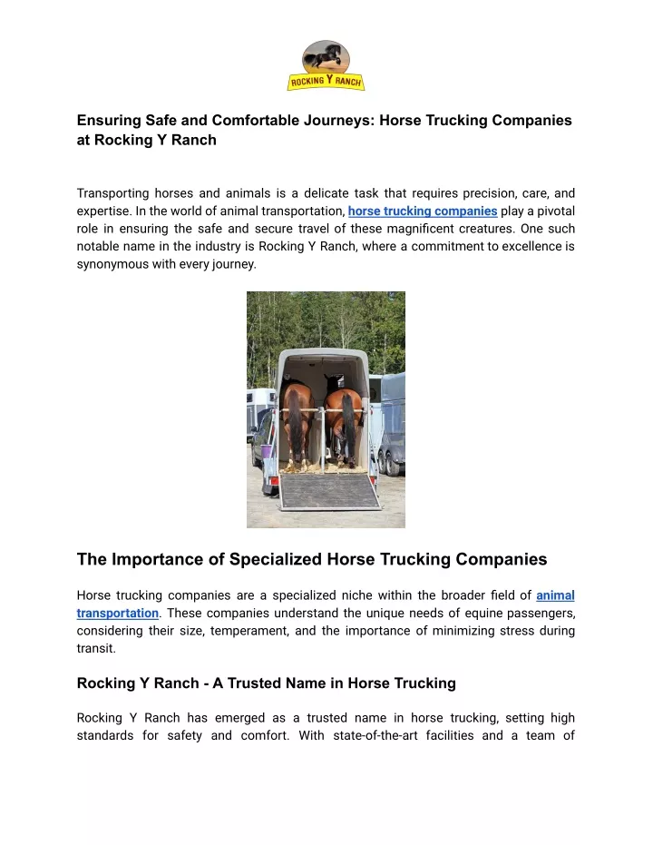 ensuring safe and comfortable journeys horse