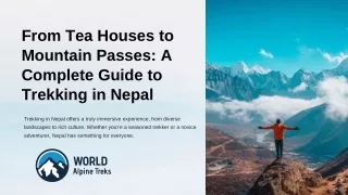 From Tea Houses to Mountain Passes A Complete Guide to Trekking in Nepal