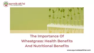 The Importance Of Wheatgrass Health Benefits And Nutritional Benefits