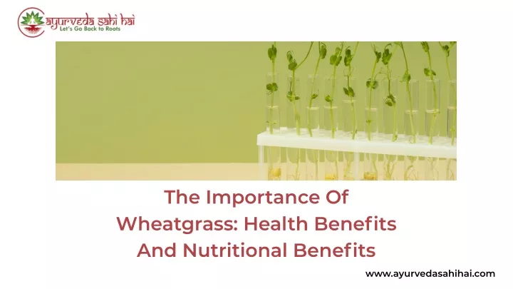 the importance of wheatgrass health benefits