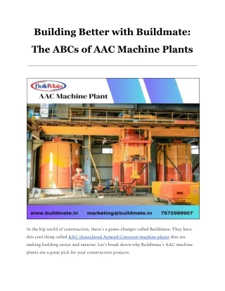 AAC Machine Plants