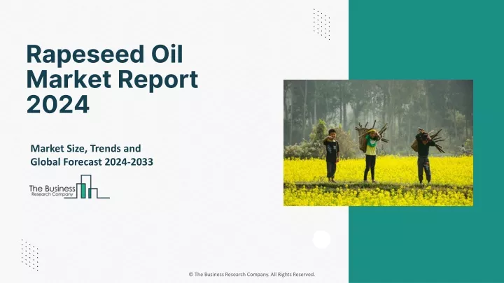 rapeseed oil market report 2024