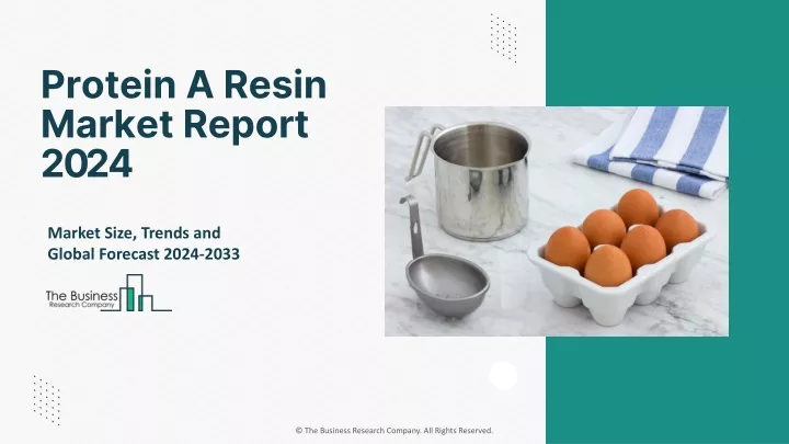 protein a resin market report 2024