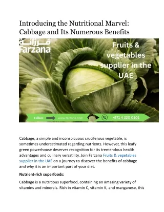 introducing the nutritional marvel cabbage