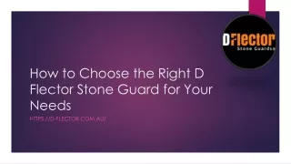 How to Choose the Right D Flector Stone Guard for Your Needs