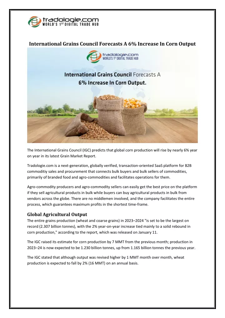 international grains council forecasts