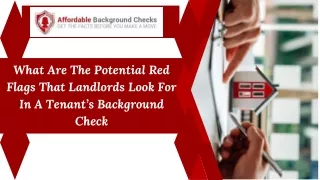 What Are The Potential Red Flags That Landlords Look For In A Tenant’s Background Check