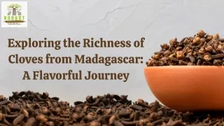 Exploring the Richness of Cloves from Madagascar A Flavorful Journey