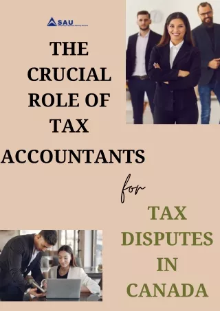 The Crucial Role of Tax Accountants for Tax Disputes in Canada