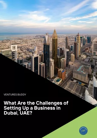 What Are the Challenges of Setting Up a Business in Dubai, UAE
