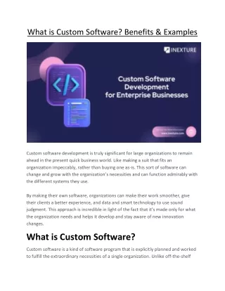 what is custom software benefits examples