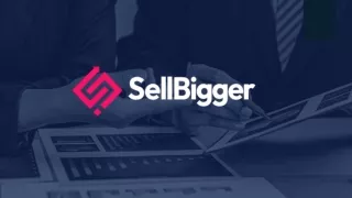 Introduction about Sellbigger