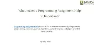 What makes a Programming Assignment Help So Important?