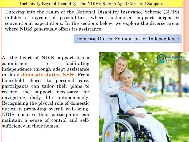 inclusivity beyond disability the ndis s role