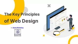 The Key Principles of Web Design