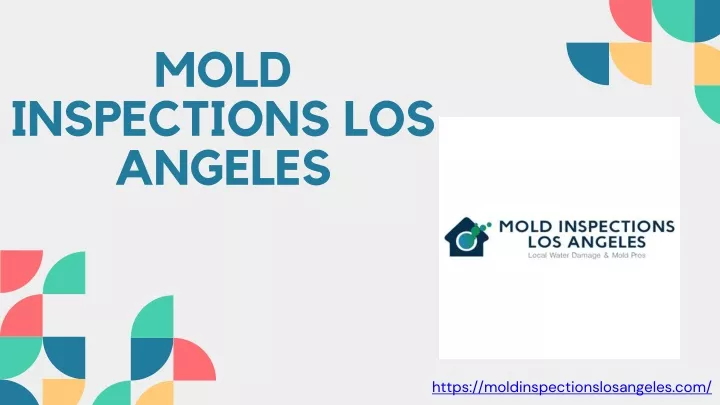 mold inspections los angeles