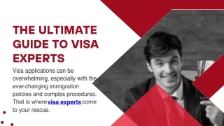 THE ULTIMATE GUIDE TO VISA EXPERTS