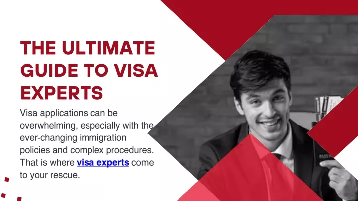 the ultimate guide to visa experts