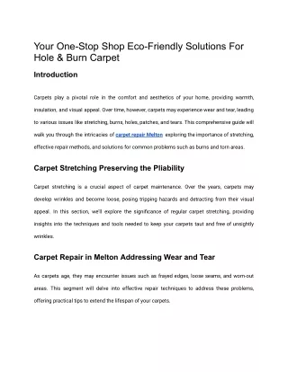 Your One-Stop Shop Eco-Friendly Solutions For Hole & Burn Carpet