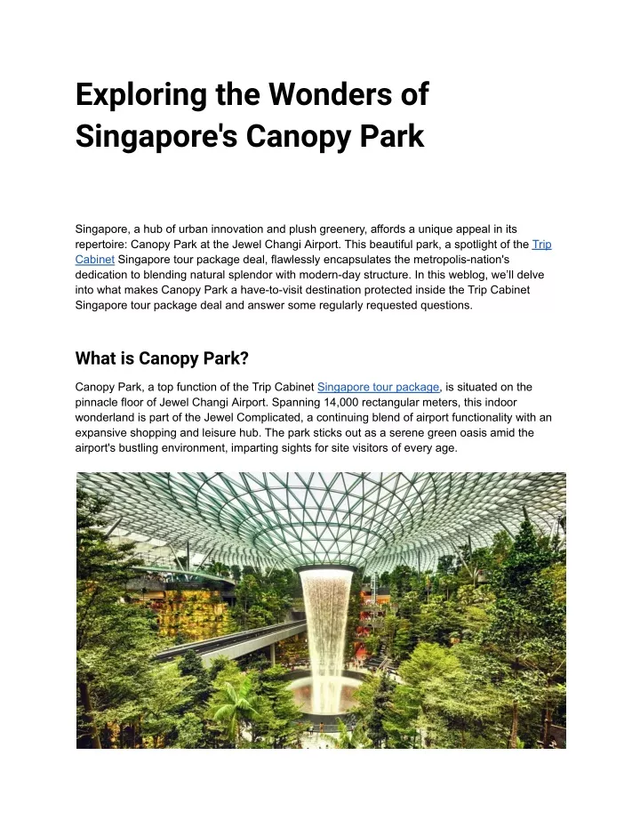 exploring the wonders of singapore s canopy park