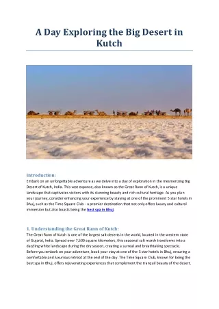 a day exploring the big desert in kutch