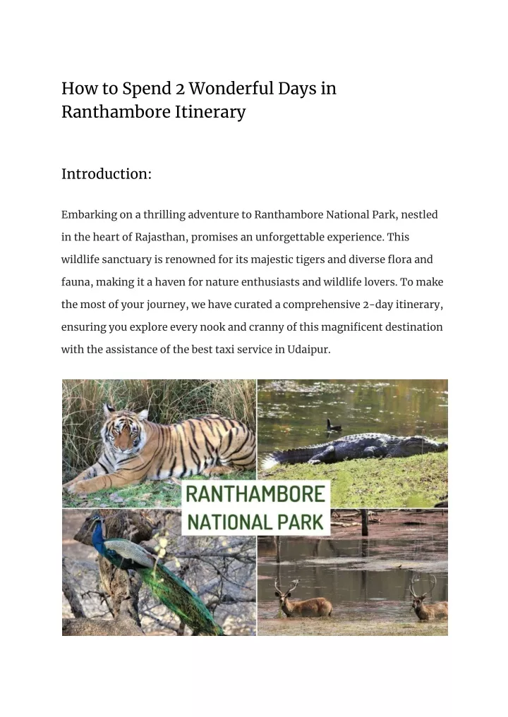 how to spend 2 wonderful days in ranthambore