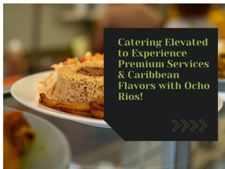 catering elevated to experience premium services