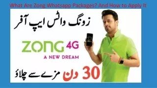 What Are Zong Whatsapp Packages? And How to Apply It